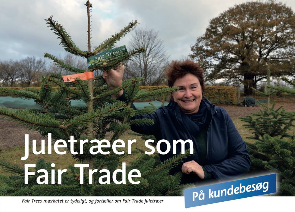 Fair Trees-mærkatet er tydeligt, og fortæller om Fair Trade juletræer.